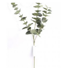 Load image into Gallery viewer, 3 stem green eucalyptus spray
