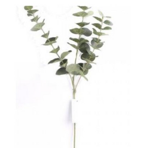 3 stem green eucalyptus spray