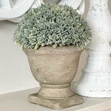 Load image into Gallery viewer, POTTED BOXWOOD URN
