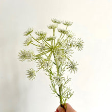 Load image into Gallery viewer, FAUX QUEEN ANNE&#39;S LACE STEM
